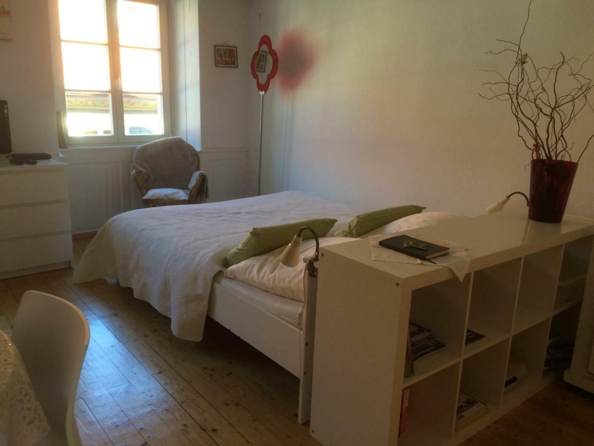 Apartament Zum Gruenen Lindenbaum Z5B Konstancja Zewnętrze zdjęcie